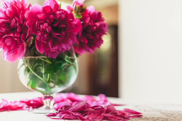 istock red peonies in glass vase stand on table 924083146