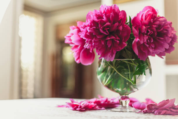 istock red peonies in glass vase stand on table 924083500