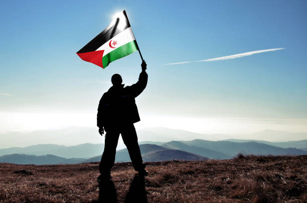 Successful silhouette man winner waving Western Sahara flag on top of the mountain peak stock photo