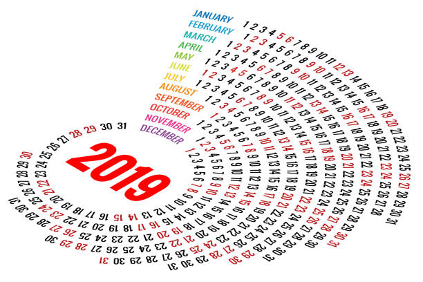 istock Vector Round Calendar 2019 on White Background. Portrait Orientation. Set of 12 Months. Planner for 2019 Year. 924090996