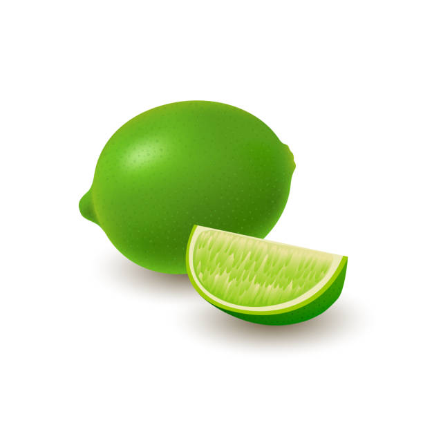 illustrazioni stock, clip art, cartoni animati e icone di tendenza di gruppo isolato colorato di lime, fetta e frutta succosa intera con ombra su sfondo bianco. agrumi realistici. - lime ripe fruit citrus fruit