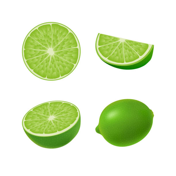 illustrations, cliparts, dessins animés et icônes de ensemble d’isolées de couleur vert lime, moitié, tranche, cercle et tout juteux fruits sur fond blanc. collection agrume réaliste. - lime fruit citrus fruit portion