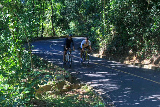 ciclistas en el bosque de tijuca, río de janeiro - brazil bicycle rio de janeiro outdoors fotografías e imágenes de stock