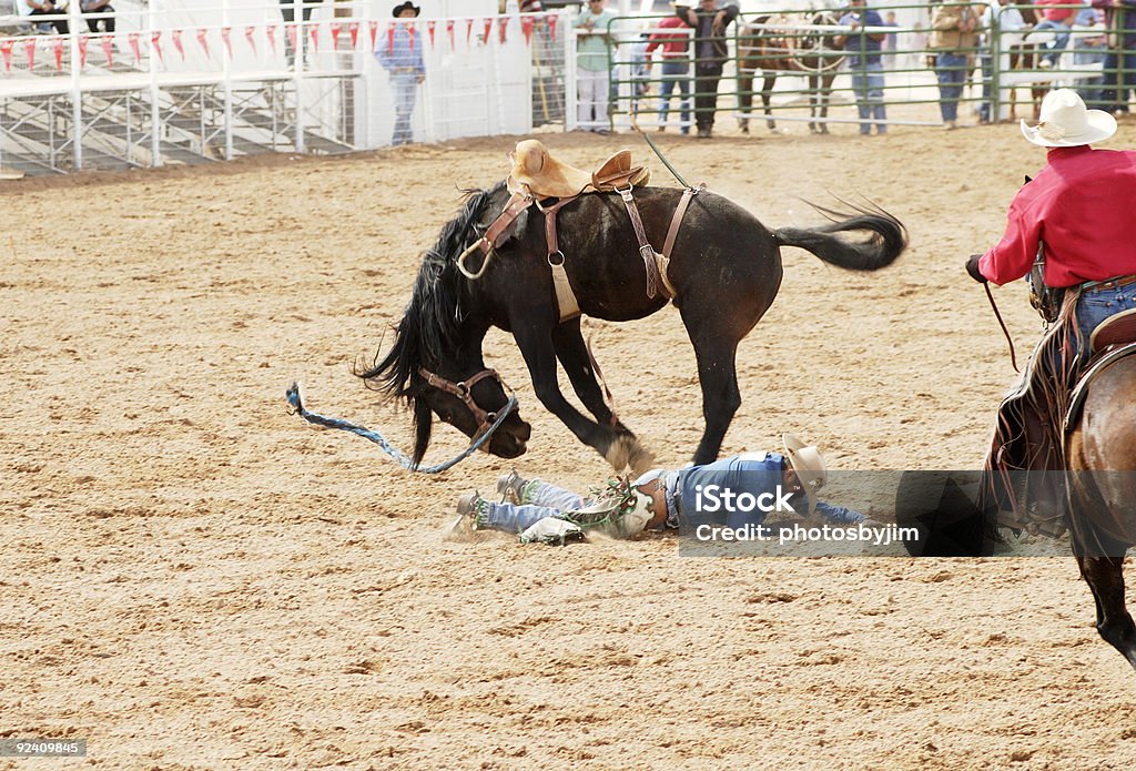 Schnalle an - Lizenzfrei Pferd Stock-Foto