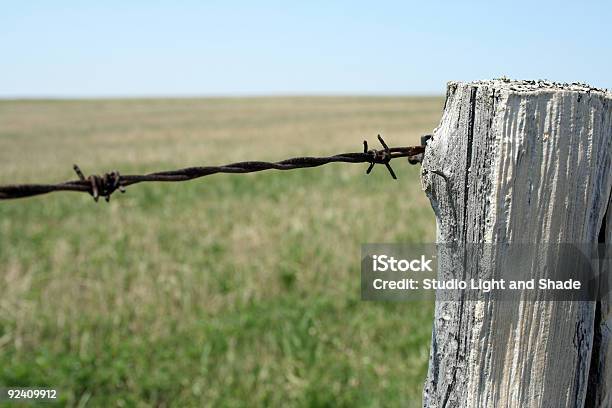 Old Poste De Madera Y Alambre De Espino Foto de stock y más banco de imágenes de Agricultura - Agricultura, Aire libre, Alambre