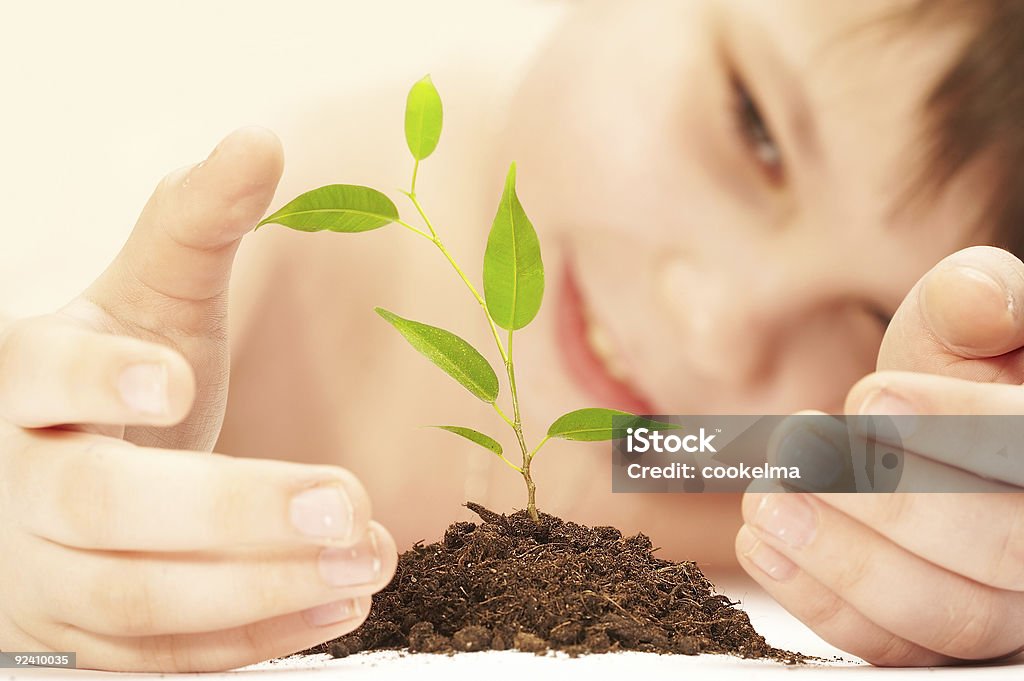 El niño y joven planta. - Foto de stock de Nuevo libre de derechos