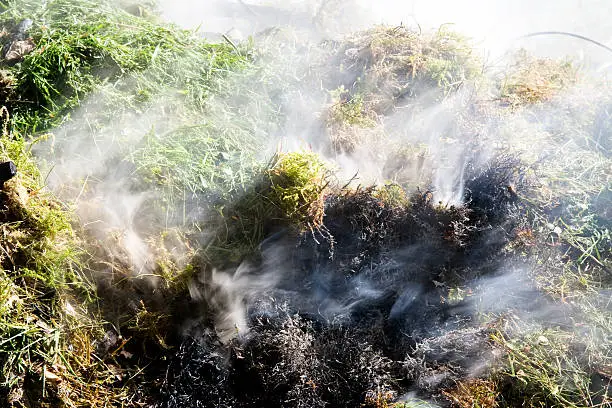 Grass burning, close up image.