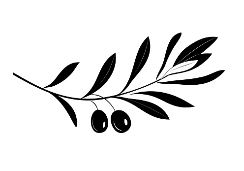 Olive branch with leaves and olives. Retro emblem organic olive oil silhouette vector illustration isolated on white background.