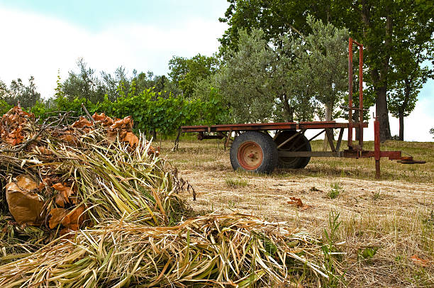 istock Hay wagon in the field 92410394
