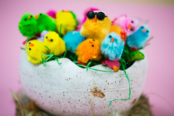 istock Easter basket with lots of little chicks, pastel background 924104264