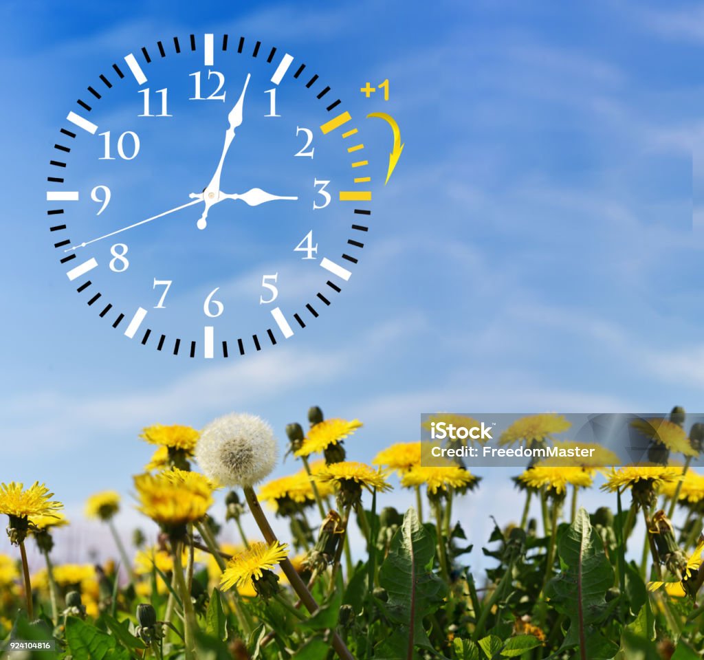 Daylight Saving Time Change Clock To Summer Time Stock Photo - Download  Image Now - Anthropomorphic Face, Arranging, Back - iStock