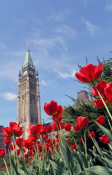 istock Peace Tower and Tulips in Ottawa 92410707
