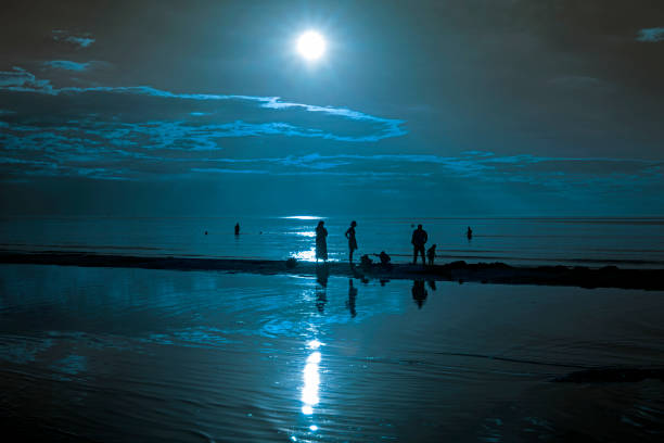 istock Summer sunset on Baltic sea. 924108264