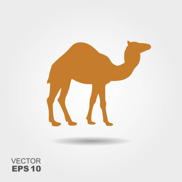 Camel icon silhouette vector illustration Camel silhouette vector illustration. Flat icon with shadow dromedary camel stock illustrations