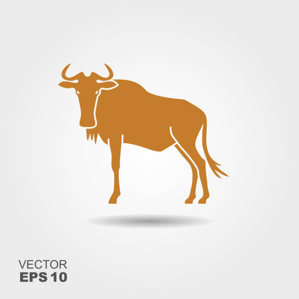ilustrações, clipart, desenhos animados e ícones de ícone de simples de gnus - wildebeest
