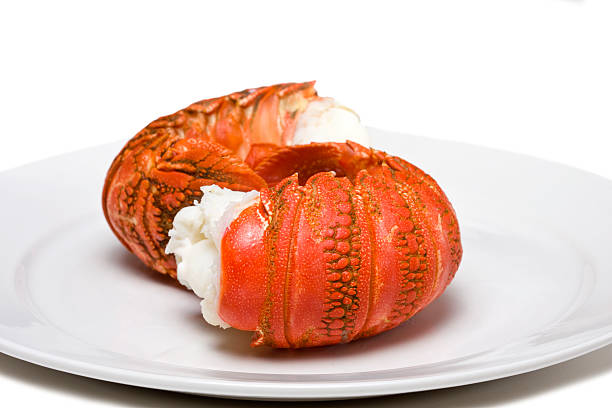 hummer-schwänze - cape rock lobster stock-fotos und bilder
