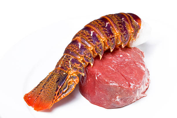 rohe surf and turf - cape rock lobster stock-fotos und bilder