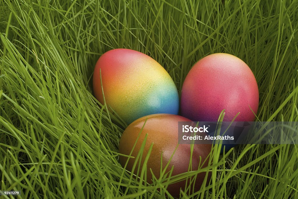 пасхальные яйца - Стоковые фото Без людей роялти-фри