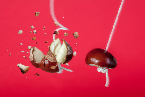 Conker exploding on a string in a traditional game Conker exploding on a string. Smash or break the competition business concept with a strong conker on string smashing another conker on a string. Metaphor for business strength and power, be the market leader, global domination and winner picture of a buckeye nut stock pictures, royalty-free photos & images