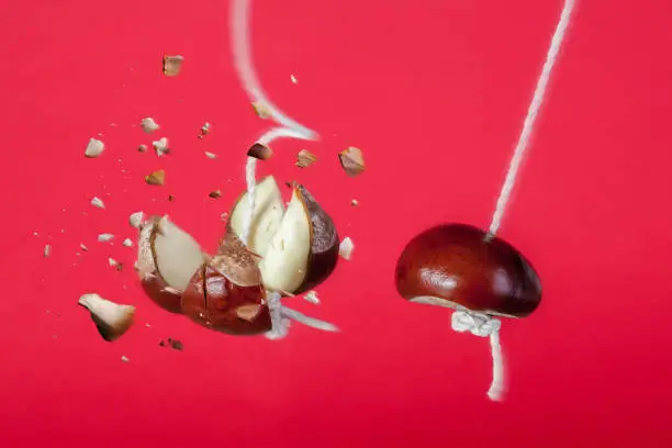 Conker exploding on a string. Smash or break the competition business concept with a strong conker on string smashing another conker on a string. Metaphor for business strength and power, be the market leader, global domination and winner