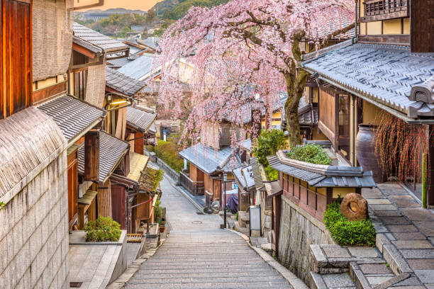 kyoto, vicoli del giappone - town of blossom foto e immagini stock