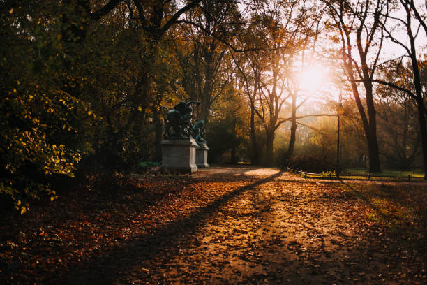 istock game of shadows in the autumn in the city park 924118564
