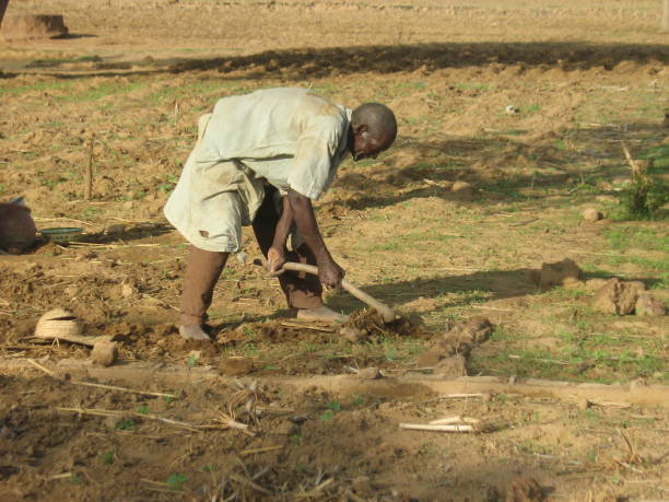 Rural Farmer in Burkina Faso struggles to prepare dry, hard ground stock photo