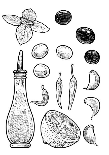 öl, essig flasche illustration, zeichnung, gravur, tinte, strichzeichnungen, vektor - vinegar bottle herb white stock-grafiken, -clipart, -cartoons und -symbole