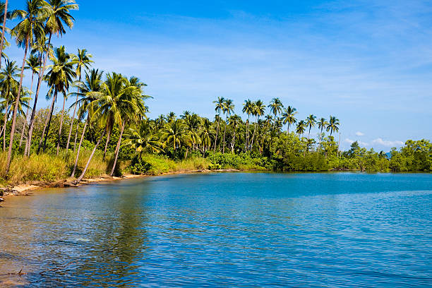 Tropical Shore stock photo