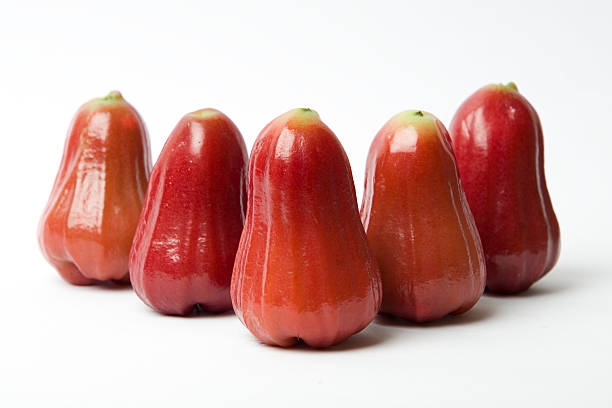 Rose Apple stock photo