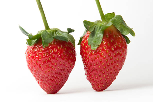 Strawberries stock photo