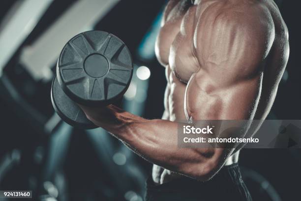 Handsome Model Young Man Training Arms In Gym Stock Photo - Download Image  Now - Abdominal Muscle, Adult, Adults Only - iStock