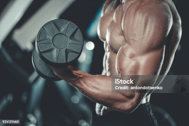 Handsome Model Young Man Training Arms In Gym Stock Photo - Download Image Now - Abdominal Muscle, Adult, Adults Only - iStock Handsome Model Young Man Training Arms In Gym Stock Photo - Download Image Now - Abdominal Muscle, Adult, Adults Only - iStock