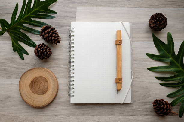 istock lat lay natural product concept , copy space. creative layout . organic frame . top view. isolated. hipster minimal style with nature background. 924134552