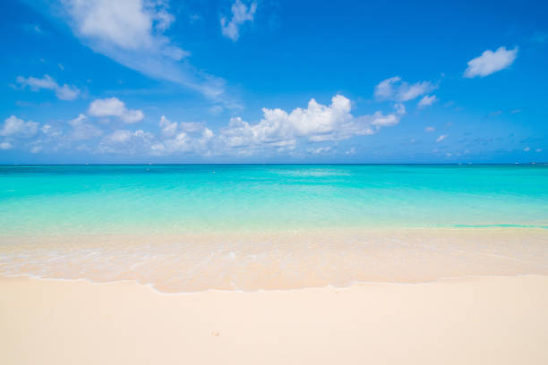 istock Seven Mile Beach Grand Cayman 924136030