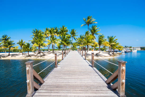 doca, areia, mar e palmeiras - cayman islands - fotografias e filmes do acervo