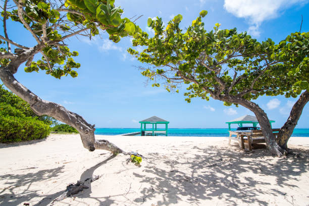 Gazebo, Grape Trees and Turquoise Sea