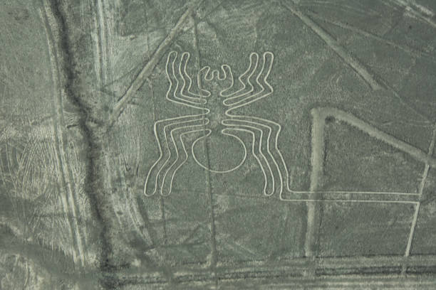 líneas de nazca de la araña - prehistoric art fotos fotografías e imágenes de stock