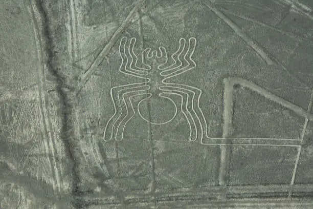 The Nazca Lines are a series of ancient geoglyph located in the Nazca Desert of Peru. The high arid plateau stretches more than 80 kilometers. Hundreds of individual figures range in complexity from simple lines to stylized hummingbirds, spiders, monkeys, whales or orcas, llamas, and lizards."n