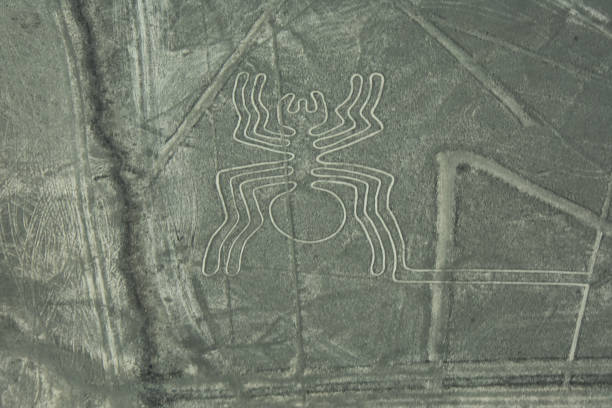 linhas de nazca da aranha - prehistoric art fotos - fotografias e filmes do acervo