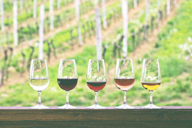 istock Glasses with wine. Red, pink, white wine in glasses. 924146698