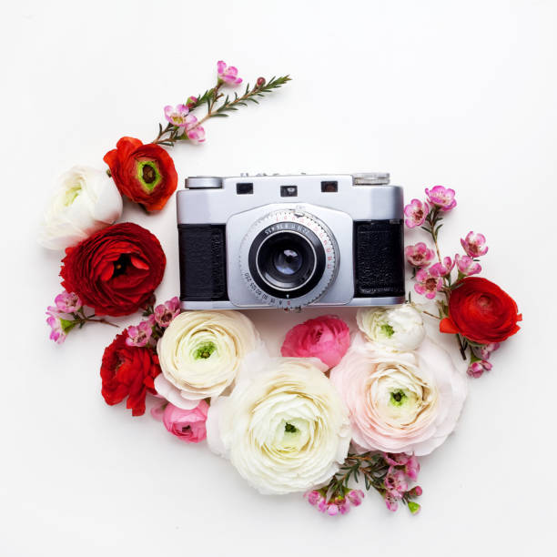 istock Vintage retro camera, red and beige ranunculus flower buds pattern on white background. Flat lay, top view decorated concept. 924149120