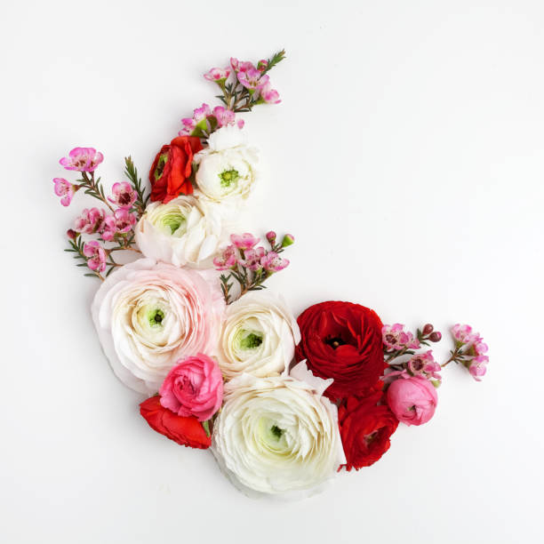 istock Floral round frame with ranunculus flowers, flat lay, top view with copy space 924149300