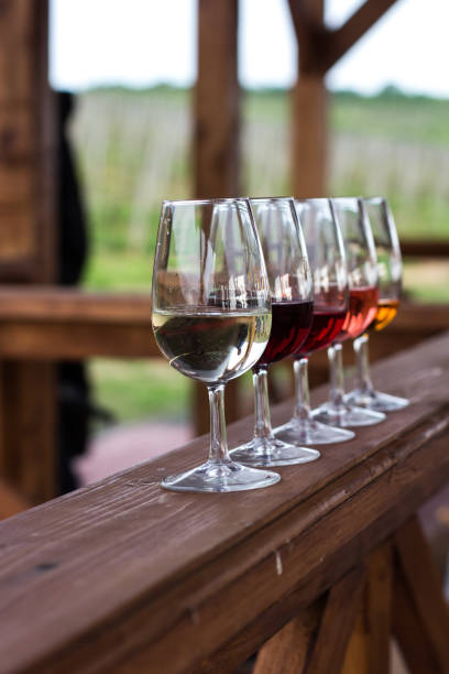 istock Glasses with wine. Red, pink, white wine in glasses. 924149930