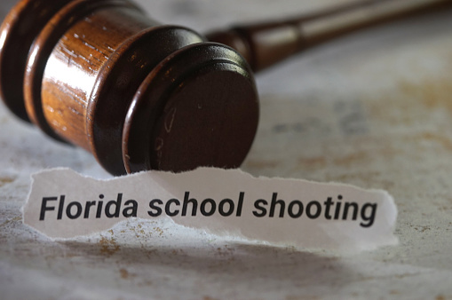 shot of school shooting article