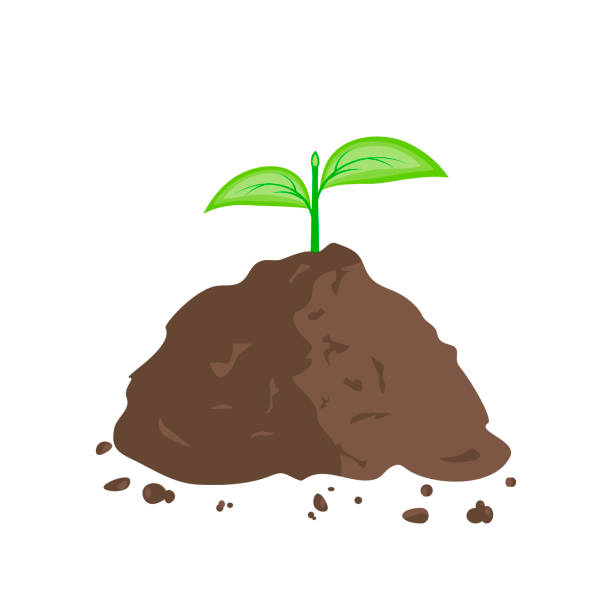 Green Sprout in Pile of Ground Green sprout in pile of ground. Planting sapling. Vector illustration flat design animal dung stock illustrations