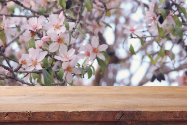 istock wooden rustic table in front of spring cherry blossoms tree. product display and picnic concept. 924160280