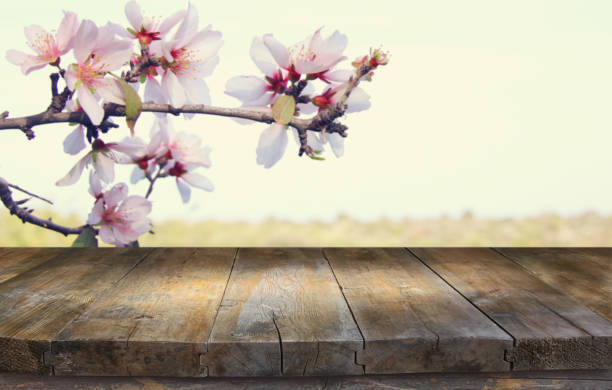 istock wooden rustic table in front of spring cherry blossoms tree. product display and picnic concept. 924160286