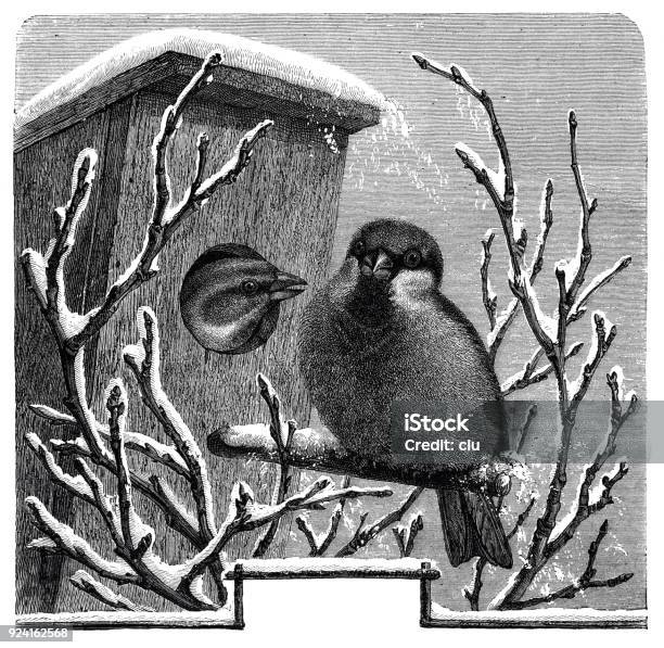 Two Birds In Birdhouse In Winter Stock Illustration - Download Image Now - Birdhouse, Antique, Bird