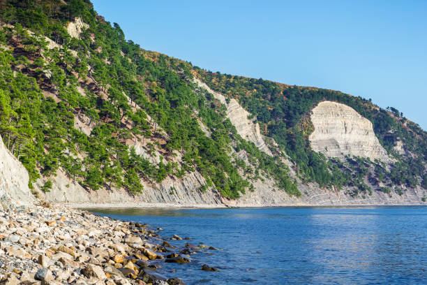 istock Ocean and rocky beach, beautiful rocks and trees 924169406